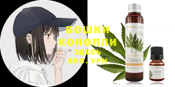 молекула духа Балахна